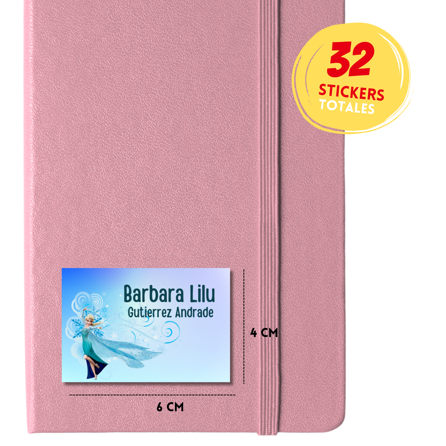 Frozen Elsa Etiquetas Escolares Personalizadas Libretas, Libros y Lápices