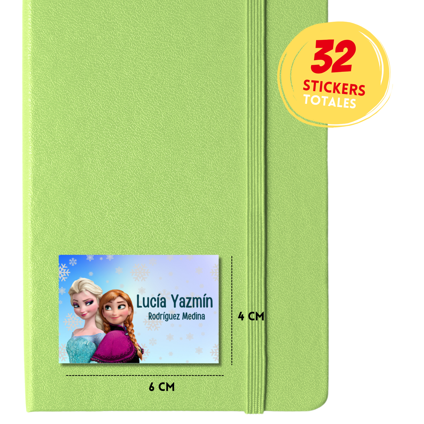 Frozen Elsa & Ana Etiquetas Escolares Personalizadas Libretas, Libros y Lápices