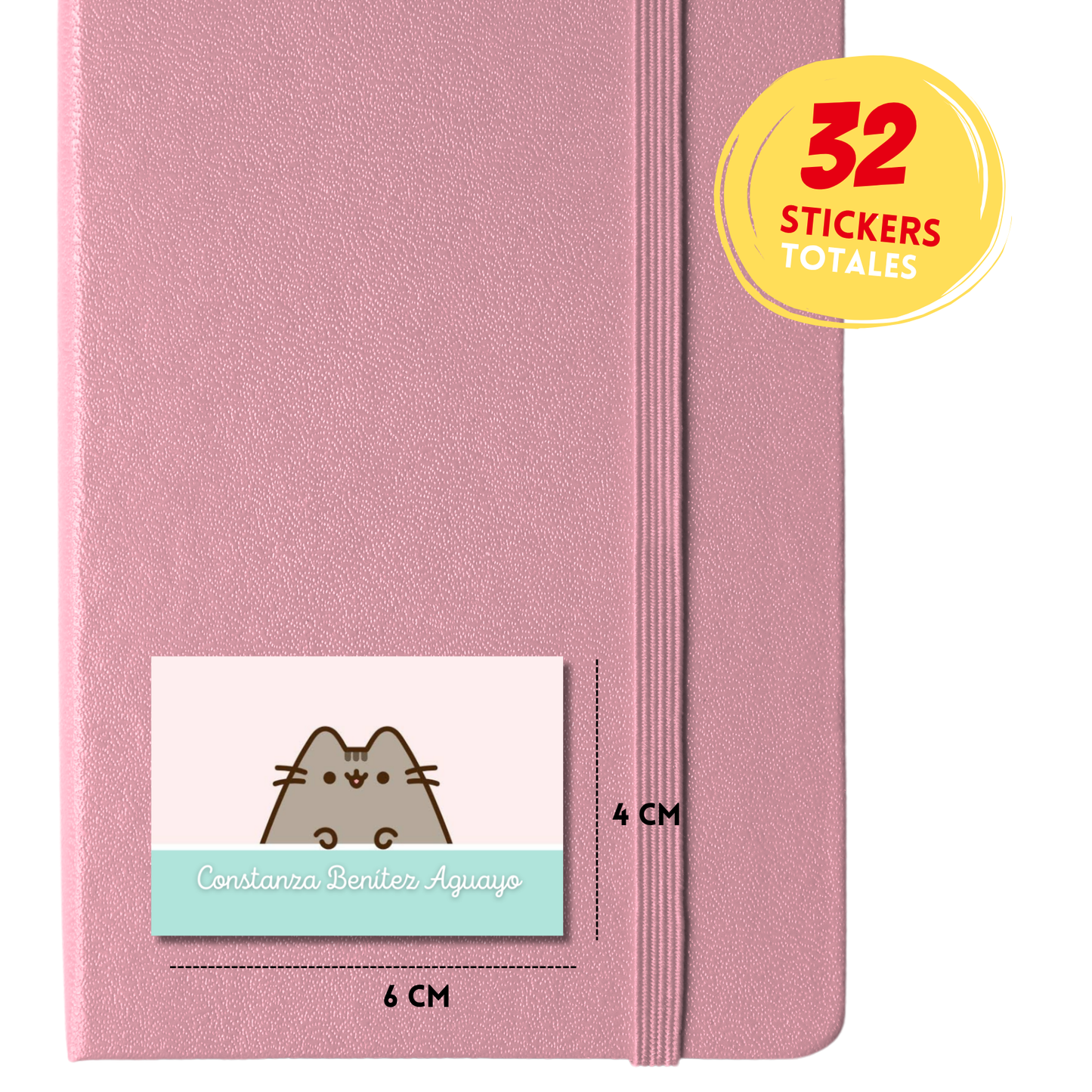 Pusheen Etiquetas Escolares Personalizadas Libretas, Libros y Lápices