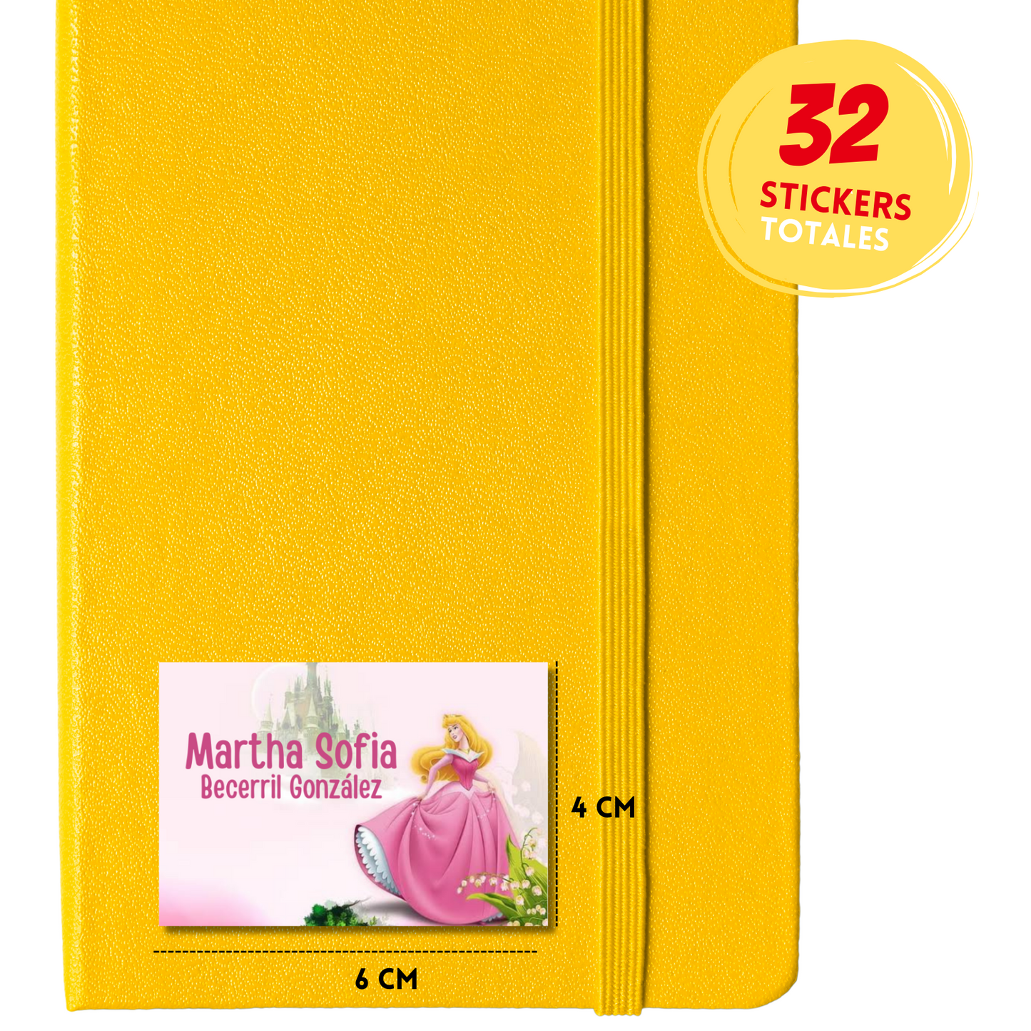 Sleeping Beauty Aurora Castle Personalized School Labels Notebooks, Books and Pencils 