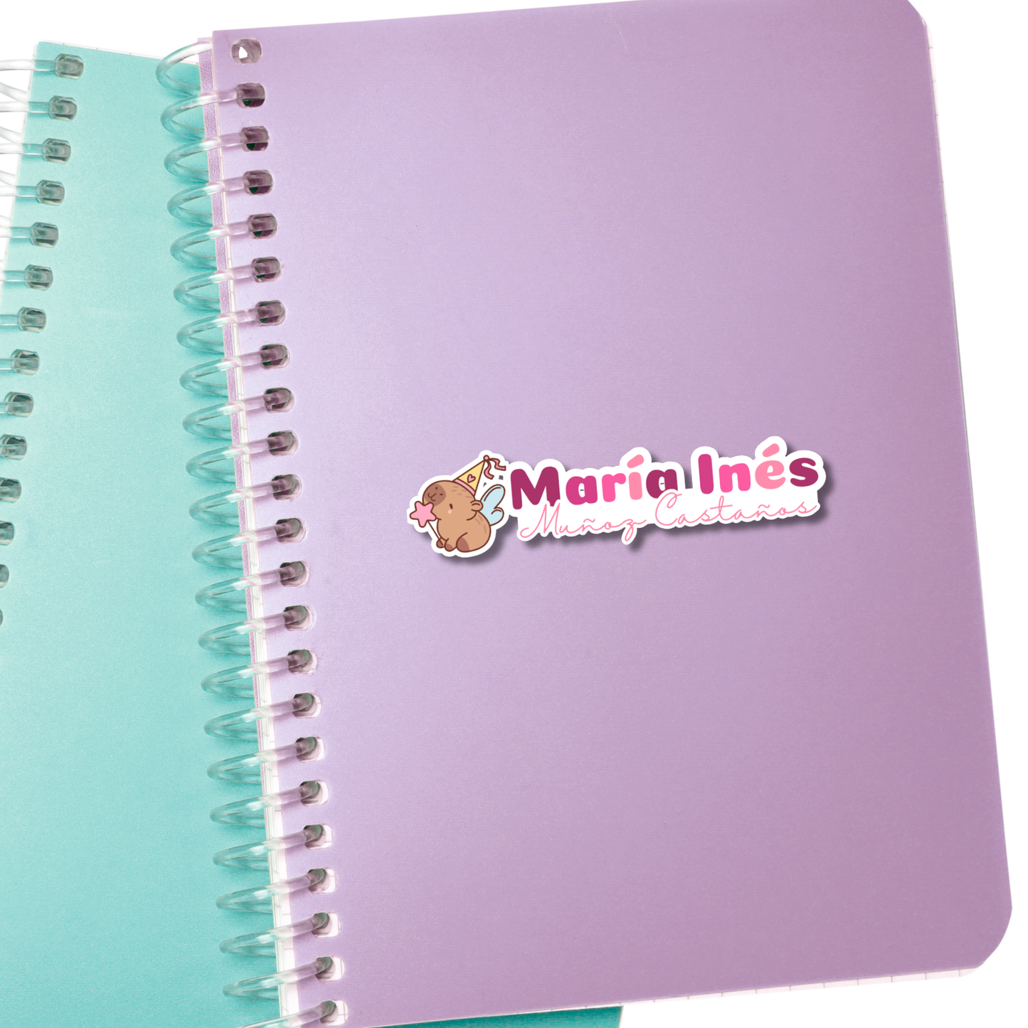 Silueta Dibujo, Nombre y Apellido, Etiquetas Escolares Personalizadas Libretas, Libros y Lápices