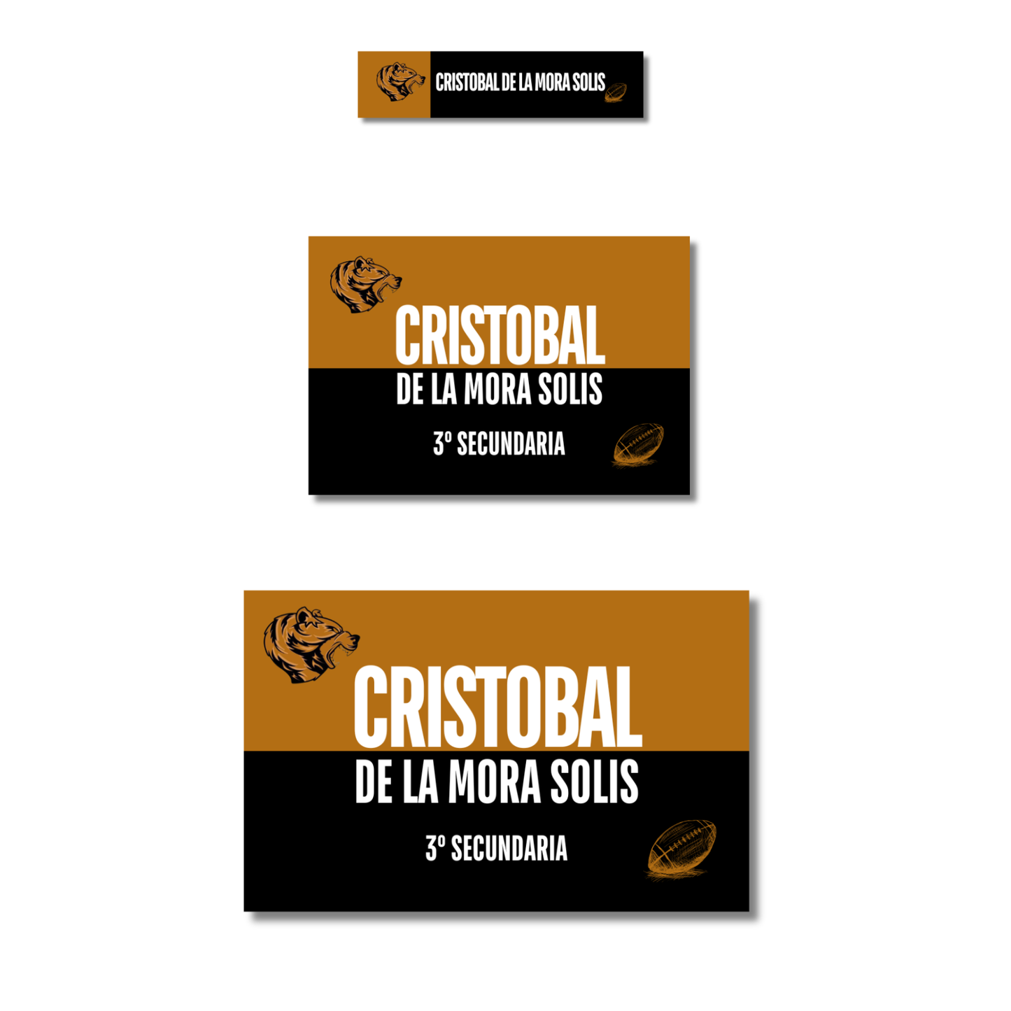 Futball Leones, Etiquetas Escolares Personalizadas Libretas, Libros y Lápices