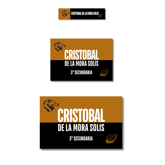 Futball Leones, Etiquetas Escolares Personalizadas Libretas, Libros y Lápices
