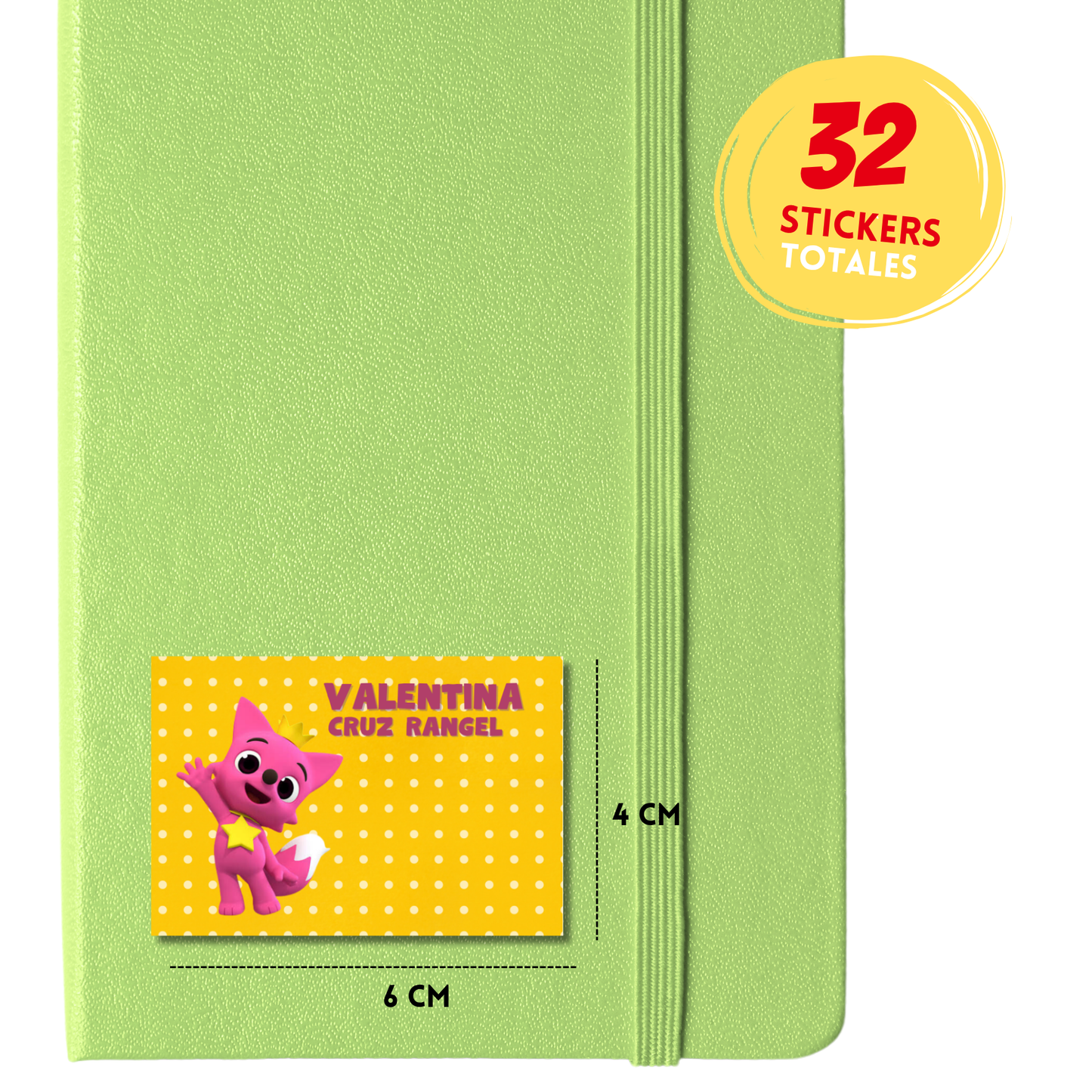 Pink Funk Etiquetas Escolares Personalizadas Libretas, Libros y Lápices