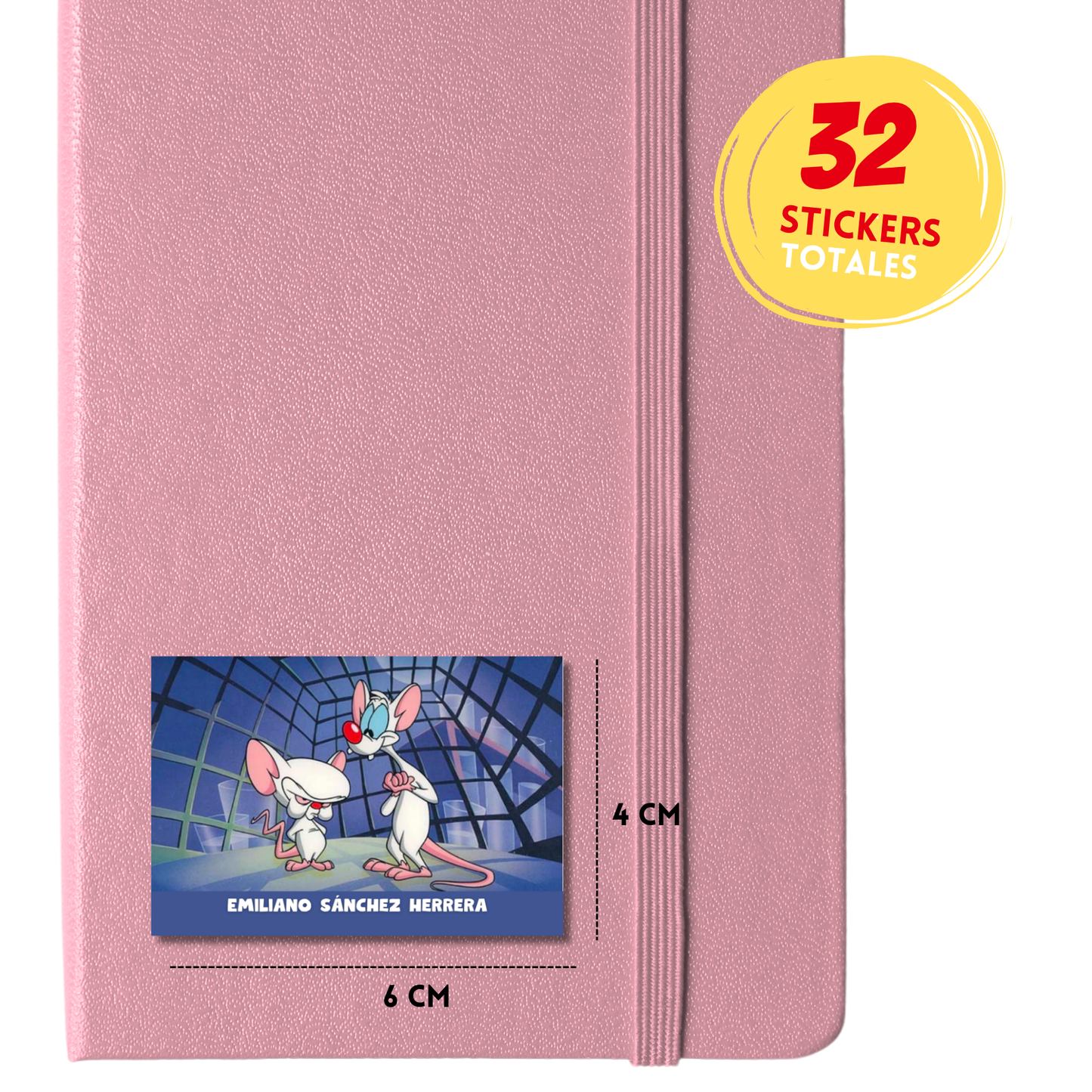 Pinky y Cerebro Animaniacs Etiquetas Escolares Personalizadas Libretas, Libros y Lápices