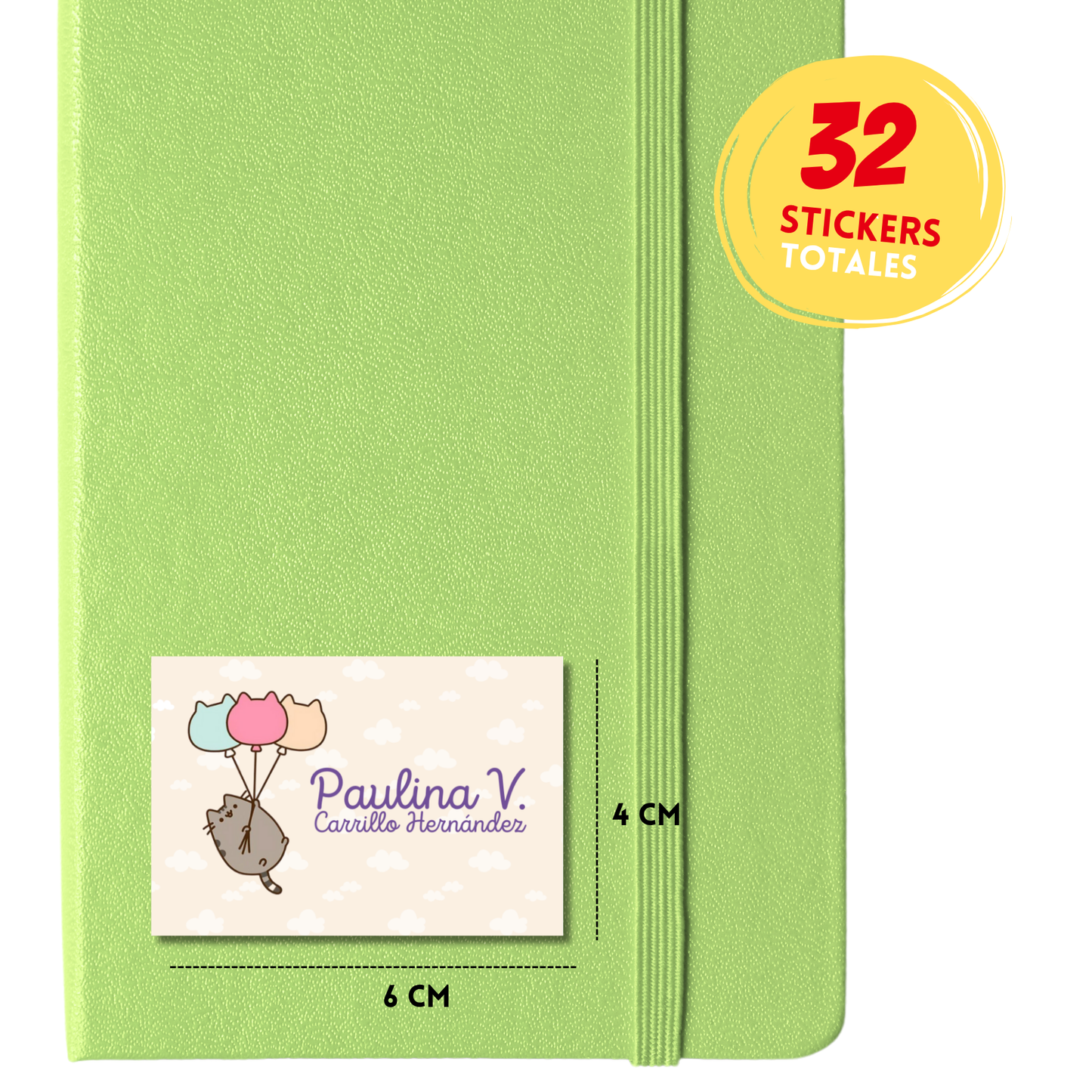 Pusheen Con Globos Etiquetas Escolares Personalizadas Libretas, Libros y Lápices