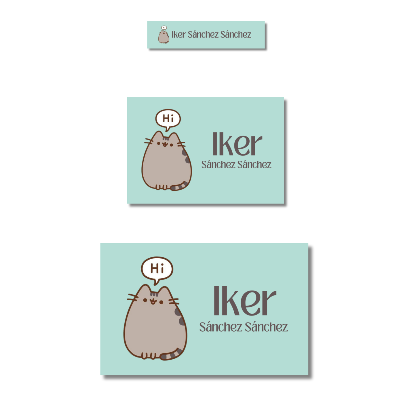 Pusheen Hola Etiquetas Escolares Personalizadas Libretas, Libros y Lápices